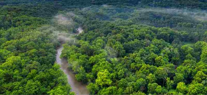 quando-e-exigido-o-licenciamento-ambiental-no-brasil