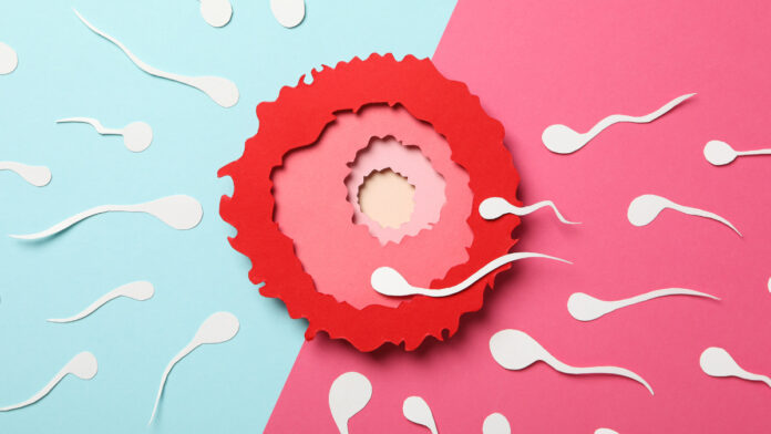 O Relógio Biológico Masculino Que A Geração Y Desconhece